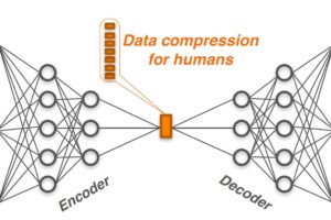 Nuevo software basado en inteligencia artificial ayuda a interpretar complejidades